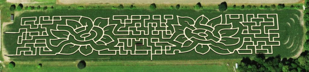 Shawhaven Farm corn maze